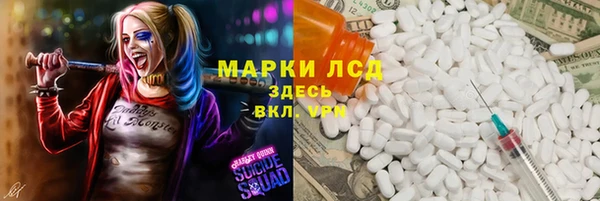 хмурый Алзамай