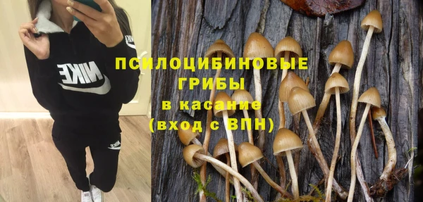шишки Семилуки