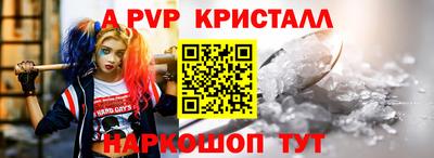 стаф Кингисепп