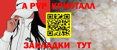 стаф Кингисепп