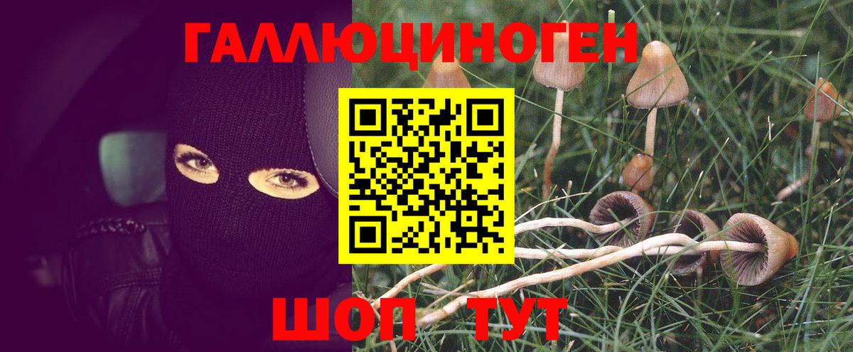 Галлюциногенные грибы прущие грибы  Вход с VPN  Галлюциногенные грибы Cubensis  Лысьва 